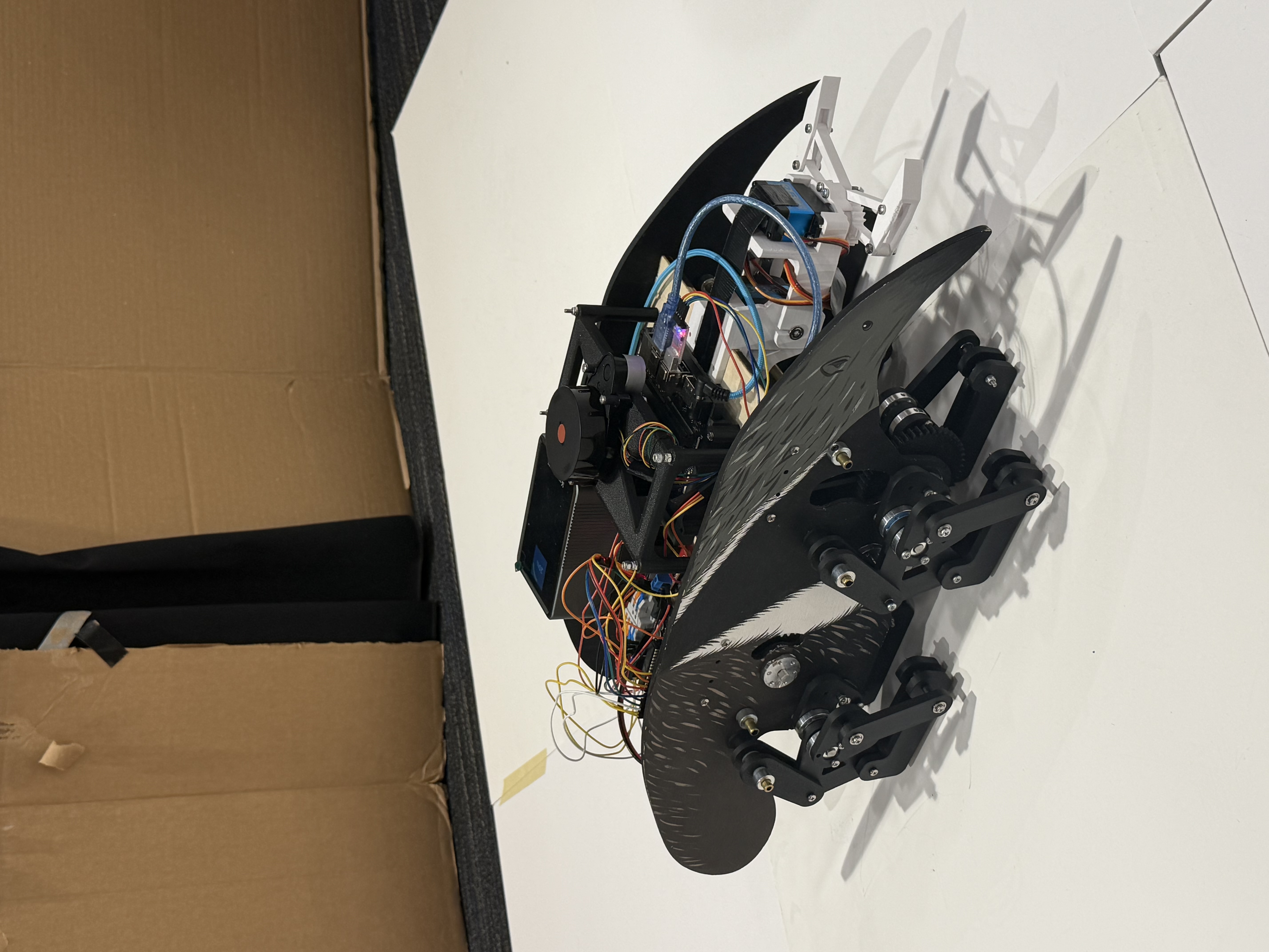 Three-Quarter View of Real Robot
